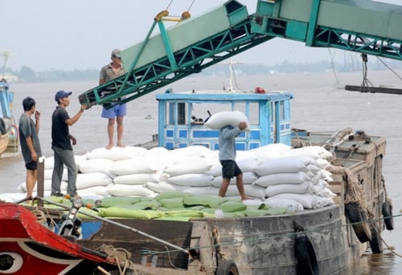 The nation’s agro-forestry-fishery exports experienced a year-on-year rise of 5.6 per cent to nearly US$21 billion in the first eight months of this year. — Photo sggp.org.vn