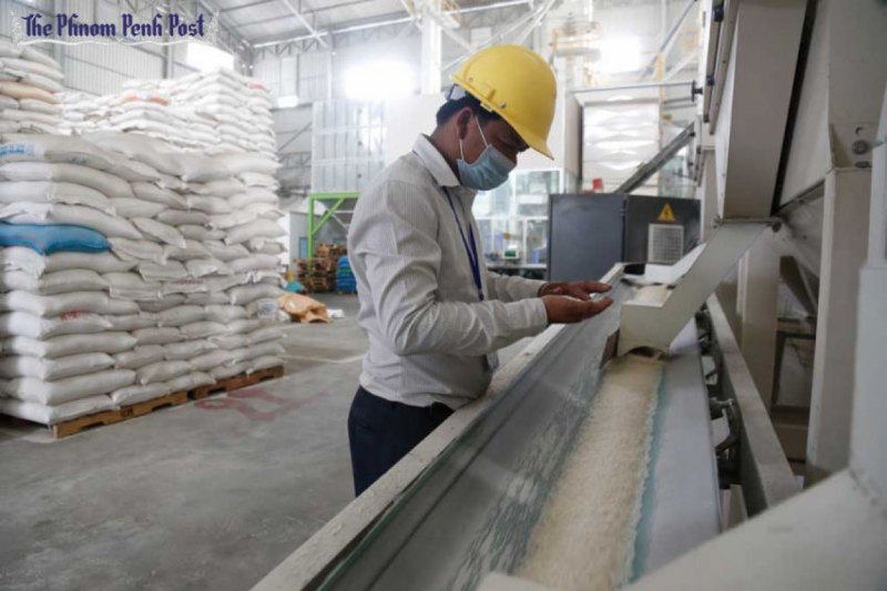 A worker inspects grains of rice at a mill in the capital’s Por Senchey district. Heng Chivoan / The Phnom Penh Post